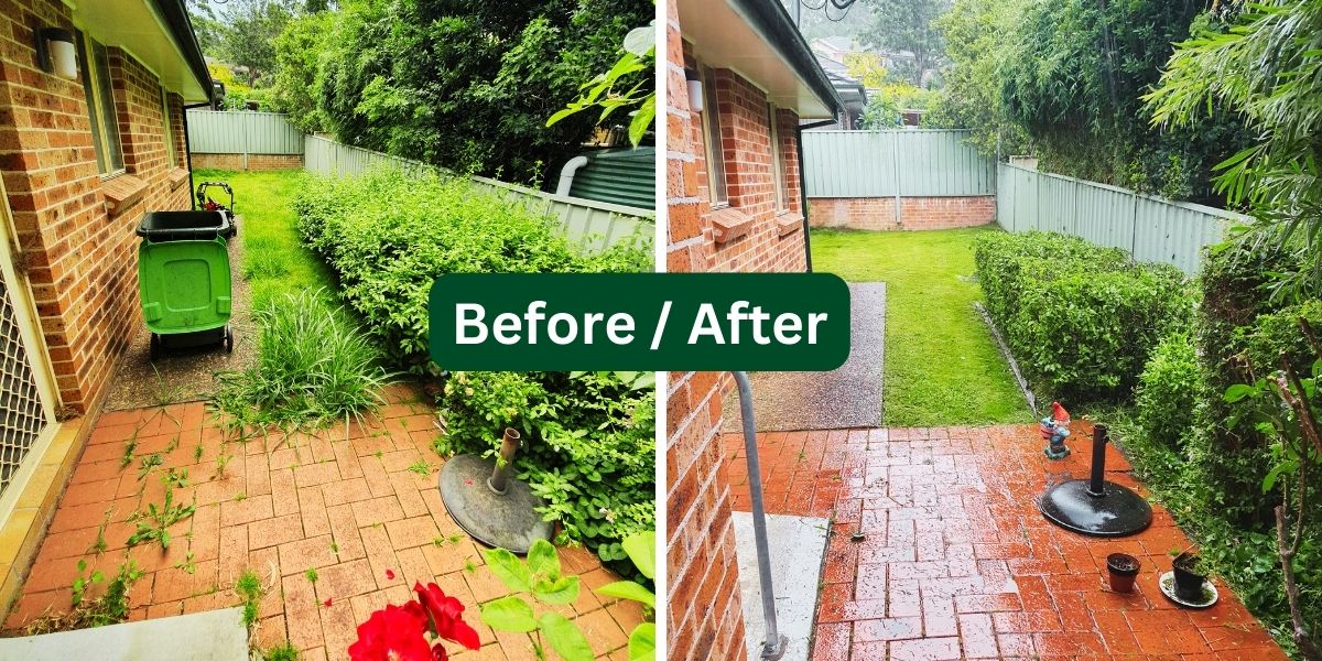 Yard transformation 2